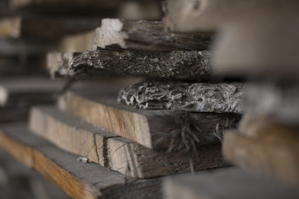 The Legacy of “VENICE” and the Roots of Dubois Wood Floors